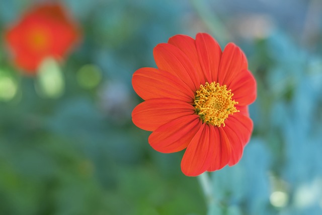 在这方面 在这方面