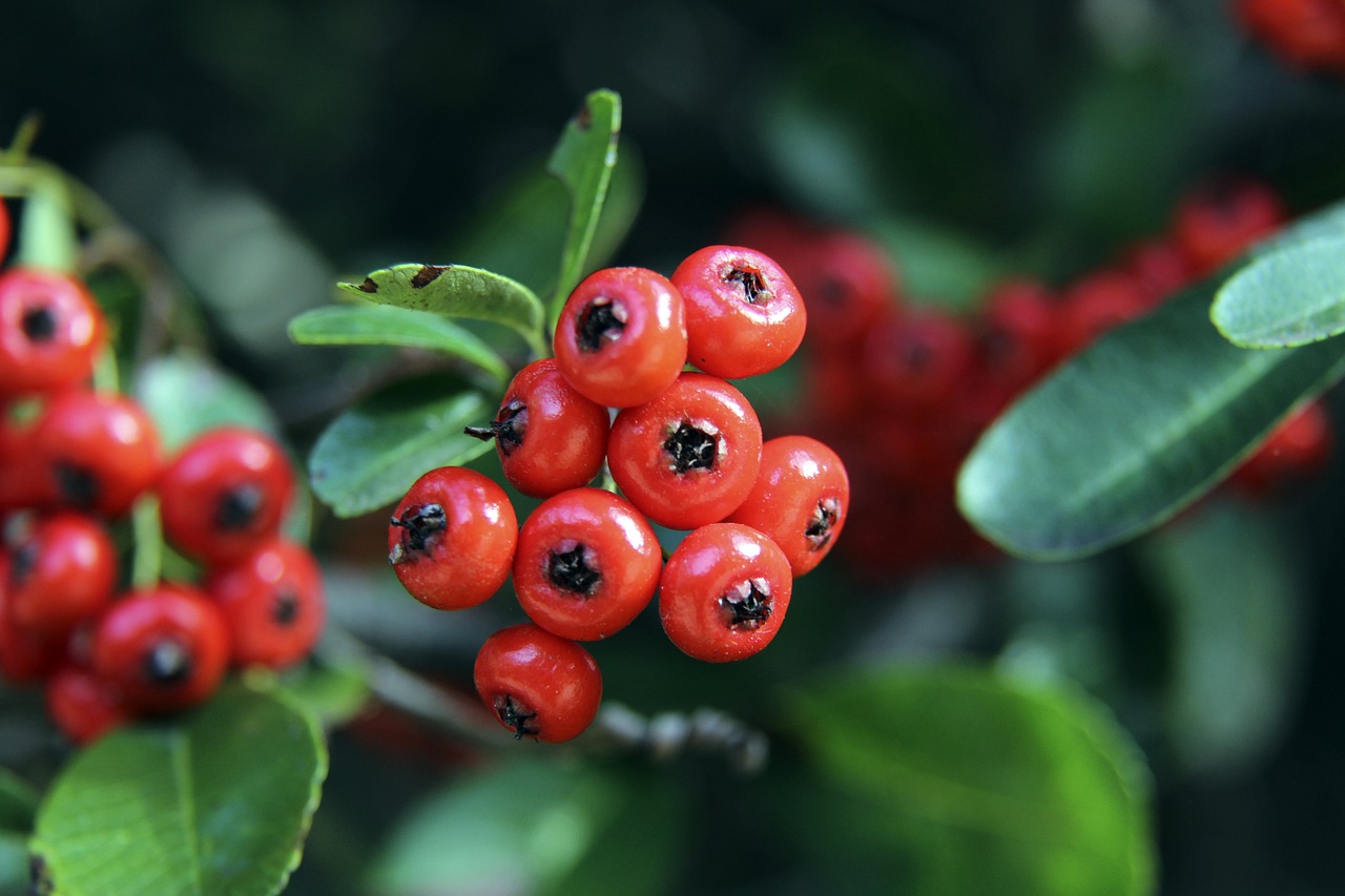 纪人在合同 纪人在合同