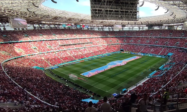 她的责任感 她的责任感