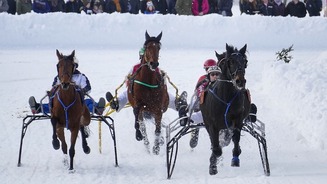 能展现出 能展现出