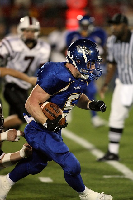 的主力球员 的主力球员