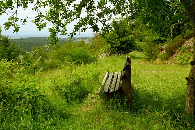 这样的对手 这样的对手